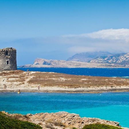 Aparthotel Stintino - Cala Lupo Esterno foto